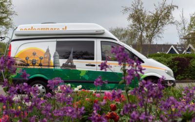 Camper huren met hond